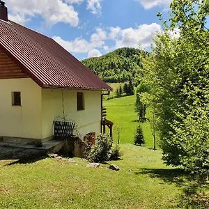 Forest House Masha Brvnara